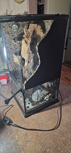 Terraarium paludarium (2 foto / 8)