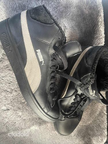 Puma tossud