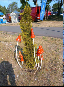 Грибочки-мухоморчики. (6 фото из 6)