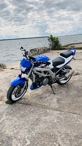 M: suzuki sv1000 (6 foto / 7)