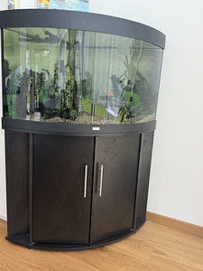 Juwel 190L akvaarium koos aluskapi ja välisfiltriga (1 foto / 2)