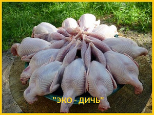 Свежее мясо перепела, тушки с домашней фермы (2 фото из 3)