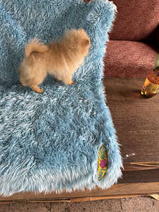Miniatuurne pomeranian kutsikas (4 foto / 7)
