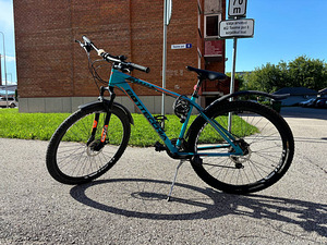 Велосипед Bottecchia (10 фото из 10)