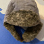 Детская зимняя шапка 48 размера (фото #2)