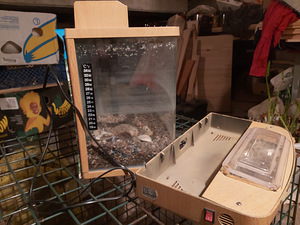 Akvaarium 20 l (7 foto / 8)