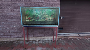Akvaarium 240l + triikraud (1 foto / 5)