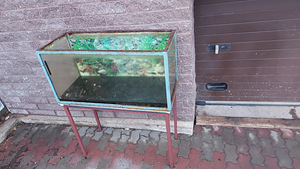 Akvaarium 240l + triikraud (2 foto / 5)