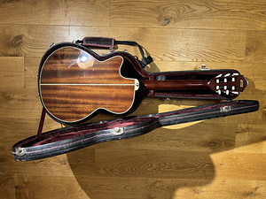 Ibanez AEG10NENT (3 foto / 4)