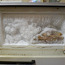 Ремонт холодильников, стиральных машин (фото #1)