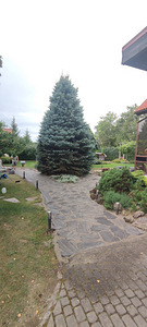 Облагоражевание участка (5 фото из 10)