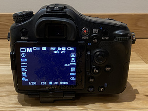 Sony A77 DLSR & Sony DT 16-50mm f2.8 (2 foto / 7)