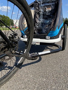 Jalgrattahaagis lastele 2 kohta (8 foto / 8)