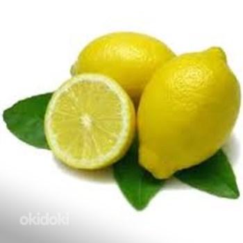 Отдушка универсальная "Лимон" (фото #1)