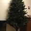 Jõulupuu (foto #2)