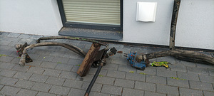 Kalluri hüdralika (4 foto / 5)