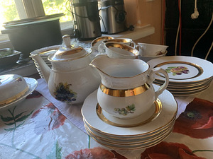 Tee komplekt 12 inimesele. (4 foto / 4)
