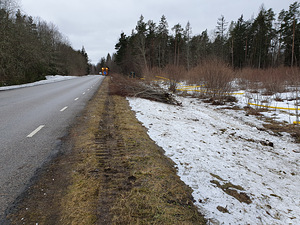 Võsalõikus väikegiljotiiniga ja äravedu (2 foto / 7)