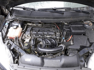 Ford focus (2 фото из 12)