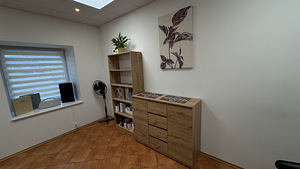 J. Vilmsi tn 53e, Kesklinna, Tallinn, Harjumaa (7 foto / 7)