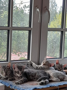 Ma jätan headesse kätesse (3 foto / 4)