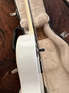 Gibson Les Paul Studio 2010 Alpine White w/ OHSC (6 foto / 10)