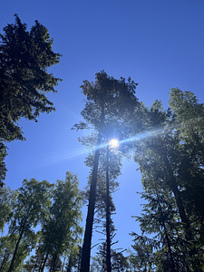 Pakume tööd Hiiumaal (1 foto / 1)
