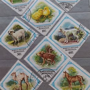 Альбом для марок (5 фото из 6)