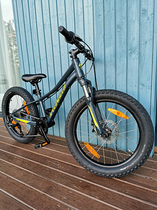 Laste jalgratas 20 tolli Specialized (6 foto / 6)
