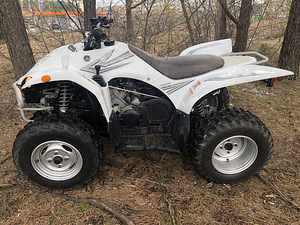Yamaha Walverine 450cc ATM 4x4 (2 foto / 7)