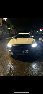 Продается Ford Mustang EcoBoost 2.3, 2017. (3 фото из 3)