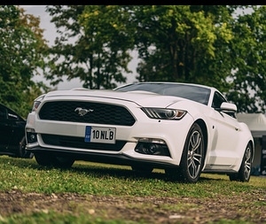Продается Ford Mustang EcoBoost 2.3, 2017. (1 фото из 3)