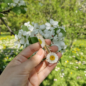 Kuldne juuksenõel karikakratega (6 foto / 8)