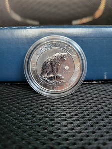 1,5 oz 2017 Kanada grislikaru hõbemünt (1 foto / 2)