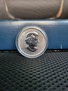 1 oz 2013 Kanada piison hõbemünt (2 foto / 2)