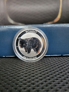 1 oz Austraalia Perth Mint hõbemünt (erinevad) (5 foto / 10)