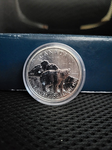 1 oz Kanada RCM hõbemünt (erinevad) (9 foto / 10)