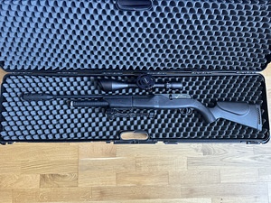 Walther Dominator 1250 PCP