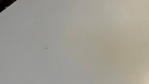 Valge TV-alus / Telerialus / telerialus (4 foto / 4)