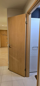 Liikuri tn 41, Lasnamäe, Tallinn, Harjumaa (3 foto / 20)