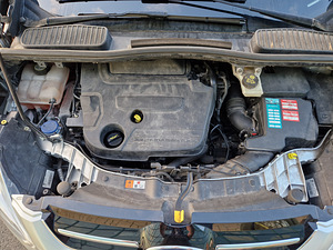 FORD C - MAX (14 фото из 15)