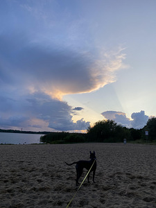 Õismäe tee 99, Haabersti, Tallinn, Harjumaa (26 foto / 26)
