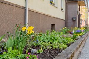 Puhangu tn 30, Põhja-Tallinna, Tallinn, Harjumaa (22 foto / 26)