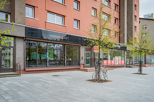 Gonsiori tn 12, Kesklinna, Tallinn, Harjumaa (44 foto / 50)