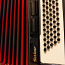 Weltmeister Serino akordion (foto #3)