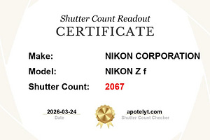 Nikon ZF (4 фото из 4)