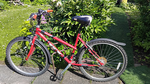 Mägi jalgratas PALOMAR GT (2 foto / 4)