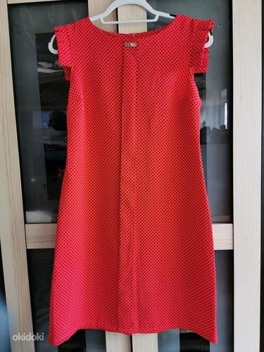 Стильное, коралловое классическое платье S (фото #1)