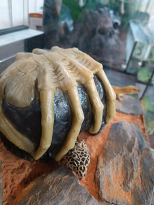 Käsitööna valminud terrariumide ja akvaariumide dekoratsioon (8 foto / 10)