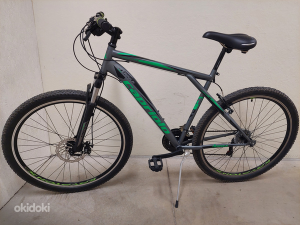 Capriolo adrenalin 29 2025